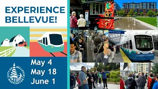 Experience Bellevue Together City Council Panel - May 2024
