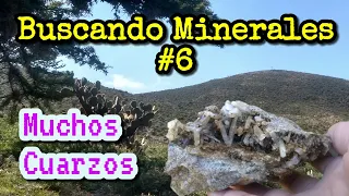 Buscando Minerales 6 - Encuentro veta de Cuarzo y hay montones de Cristales ⛏💎