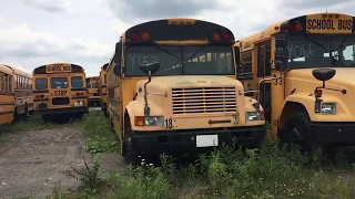 Revisiting the School Bus Junkyard (Part 1)