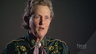 Temple Grandin: Thinking in pictures, her big break