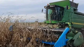 Збирання кукурудзи  Elite-Select