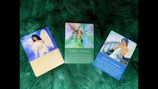 24 TIẾNG TIẾP THEO CỦA BẠN SẼ NHƯ THẾ NÀO  ? @EvelynTarot