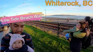 Whiterock, BC - Low Tide Beach Walk