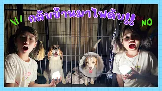 YimYamFamily | กลับบ้านไฟดับ