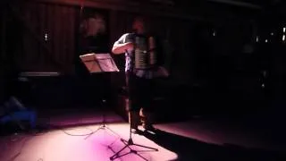 social evening: accordionist playing Finnish folk songs @IFLAcamp