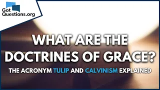 What are the doctrines of Grace? -  The acronym TULIP and Calvinism explained  |  GotQuestions.org