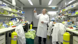 Professor David Vaux: BCL-2, cell death and cancer research