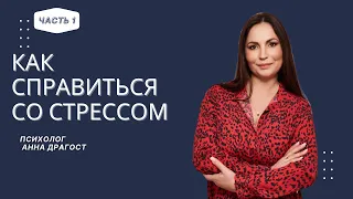 "БЕЙ ИЛИ БЕГИ " РЕАКЦИЯ НА СТРЕСС - используем реакцию " ЗАМРИ "| НЕИЗВЕСТНОСТЬ -ПРИНЯТИЕ РЕШЕНИЙ #1