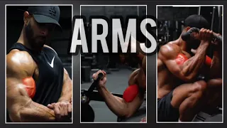 Pump up your guns - big biceps and powerful triceps are real!