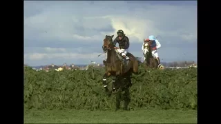 The BBC Grand National 1984 - Hallo Dandy