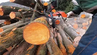 Test pilarek Stihl Ms 270 vs Ms 250 vs Ms 230 która lepsza?