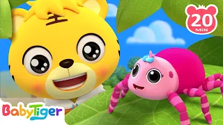 Animal Songs Compilation | Itsy Bitsy Spider🕷️& More | Kids Songs & Nursery Rhymes | BabyTiger