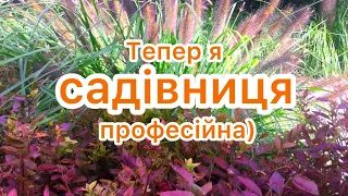 Декоративні КУЩІ в САДУ. 🌿 ГОРТЕНЗІЯ, ВЕЙГЕЛА, ПАДУБ, ДЕРЕН. Стрижені форми ✂️ Різні композиції ✅