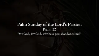 Palm Sunday of the Lord's Passion - Psalm 22 - My God, My God, Why Have You Abandoned Me?