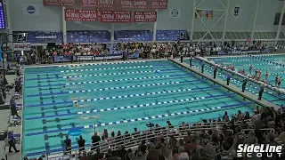 100 Breaststroke Championship Final┃2024 NCAA DI Women's Swimming & Diving Championship