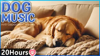 20 Hours of Calming music for dogs with Anxiety🎵💖Stress relief for dogs🐶Dog Sleep Music
