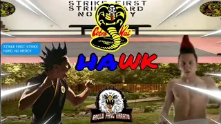 Hawk tribute (Season 1-3) Cobra kai