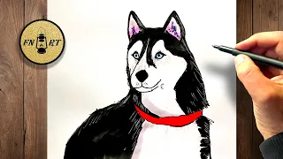 How to draw a siberian husky dog drawing easy