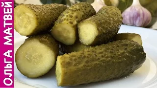 Pickled Cucumbers in 24h (English Subtitles)