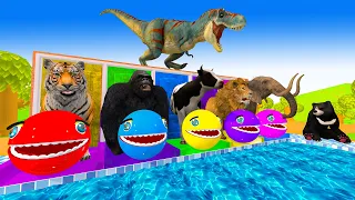 Paint Animals Gorilla,Cow,Tiger,Lion,Elephant,Bear Fountain Crossing Transformation Animal Cartoon 2