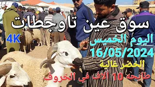 أثمنة الغنم والدجاج والخضر سوق عين تاوجطات اليوم الخميس 16/05/2024