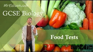 Food Tests Core Practical - GCSE Biology (9-1) 1.13B