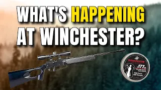 What's Happening at Winchester Air Rifles?