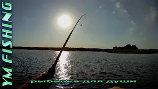 Рыбалка на хищника. Открытие рыбалки по большой воде. YM fishing