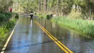 Riding with the fishes.  ACTUAL fish!  All over the flooded road, flipping & flopping.