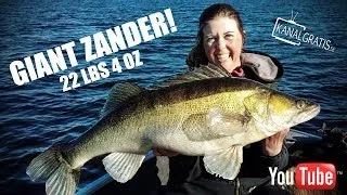 Giant Zander 22lbs 4oz - Caught by Cecilia Grönberg on a Lunker City Slug-go