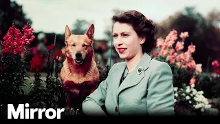 Queen Elizabeth II life in pictures