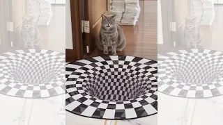 #shorts cat's vs Indoor sinkhole illusion rug