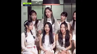 Vivi giving the correct answers while Haseul can't believe Chuu is saying 'holy sh1t'.