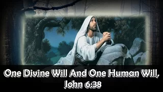 One Divine Will And One Human Will, John 6:38