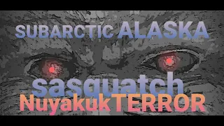 #14 NUYAKUK FALLS TERROR