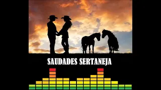 Milionário e José Rico - Sonhei com você