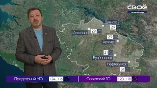 Новости на Своём от 24 августа 2021 г. 10:30