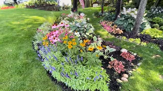 End of July Garden Tour Around My Landscape: Appreciating All the Blooming Plants On My Lunch break