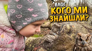 ПІШЛИ В ЛІС ШУКАТИ... | ЗНАЙШЛИ | PAW PATROL | SPONGE BOB CANDY | МОЛИТВА ЗА МИР | ДІВА МАРІЯ | VLOG