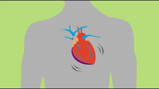 VCR Basics of Heart Disease