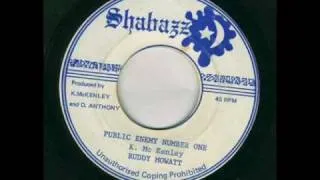 Ruddy Mowatt - Public enemy Number One