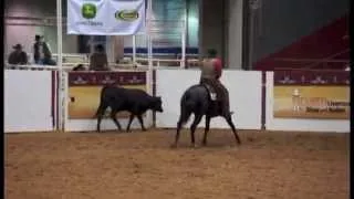 2013 AQHA Versatility Ranch Horse Open World Champion