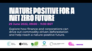 Nature Positive for a Net Zero Future