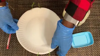 How to make a Pollution Catcher