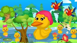 lima bebek kecil berenang - five little duck - lagu anak Indonesia populer