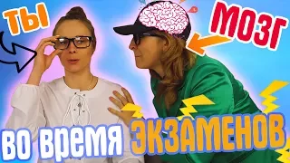 ЕСЛИ БЫ МОЗГ БЫЛ ЧЕЛОВЕКОМ ВО ВРЕМЯ ЭКЗАМЕНОВ //#ХУМАНИЛЕРИЗАЦИЯ