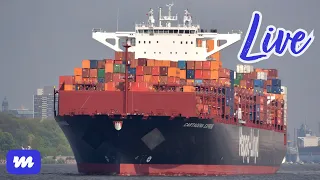 Containerschiff statt Kreuzfahrt! Auslaufen mit der Cartagena Express aus Hamburg (Live)