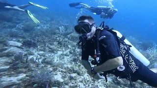 One of My Favorite Dives, The Ledges with a Goliath Grouper