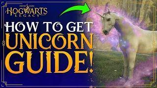 Hogwarts Legacy - How To Get UNICORN - How To Tame / Catch Unicorns - Unicorn Den Location Guide