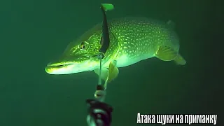 ЗАГЛОТИЛА ПРЯМО В ШАХТУ!!!😳 Поклевки - ОТДАЙ УДОЧКУ!  Рыбалка на спиннинг🎣 Щука, Подводная съёмка